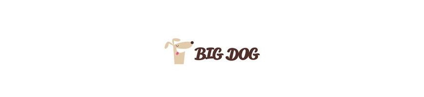Big Dog 